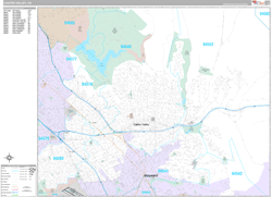 Castro Valley Wall Map Premium Style 2024